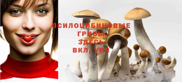 молекула духа Балабаново